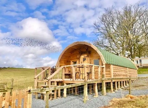 Glamping pod summer - glamping, house